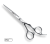 LE-N60.png