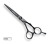 LE-P55.png