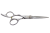 SCC-P-A.png