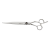 SC-G80BK.png