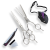 LC-Set1 60S.png