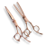 SC-Set6RG (2).png