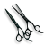 LC-Set12.png