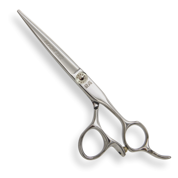 PC-A55SS39.png
