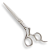 PC-C55 SS39.png
