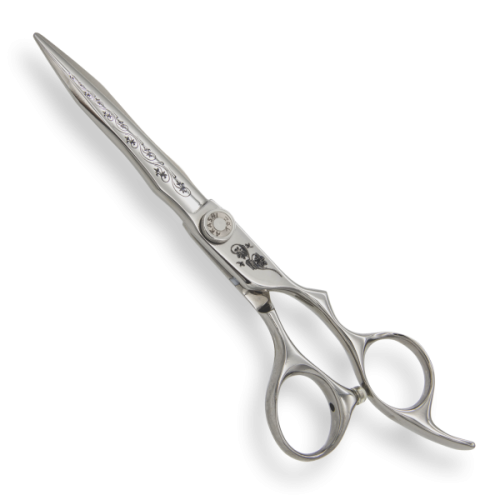 PC-E55 SS39 (2).png