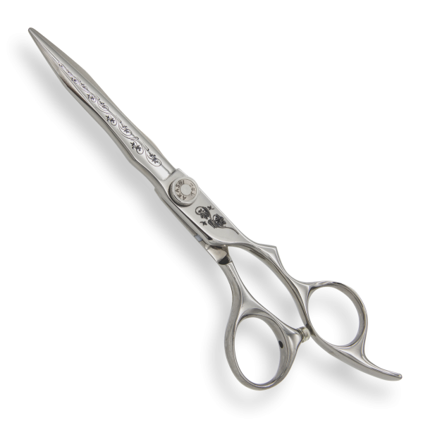 PC-E55 SS39 (2).png